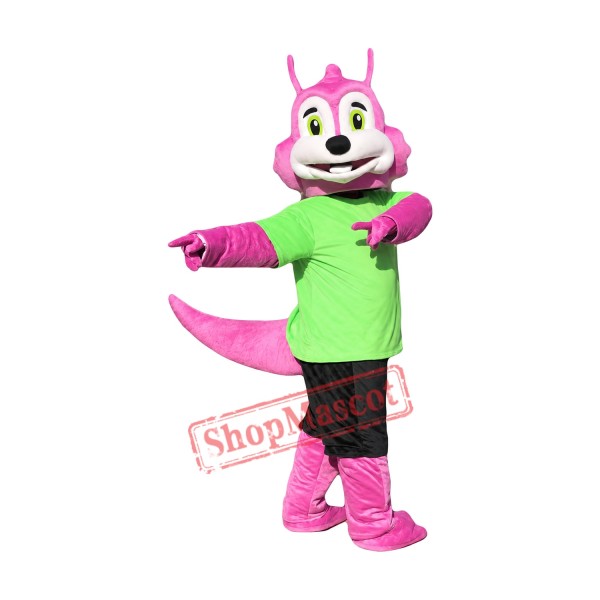 High Quality Pink Dragon Mascot Costume
