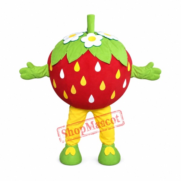 Funny Strawberry Mascot Costume