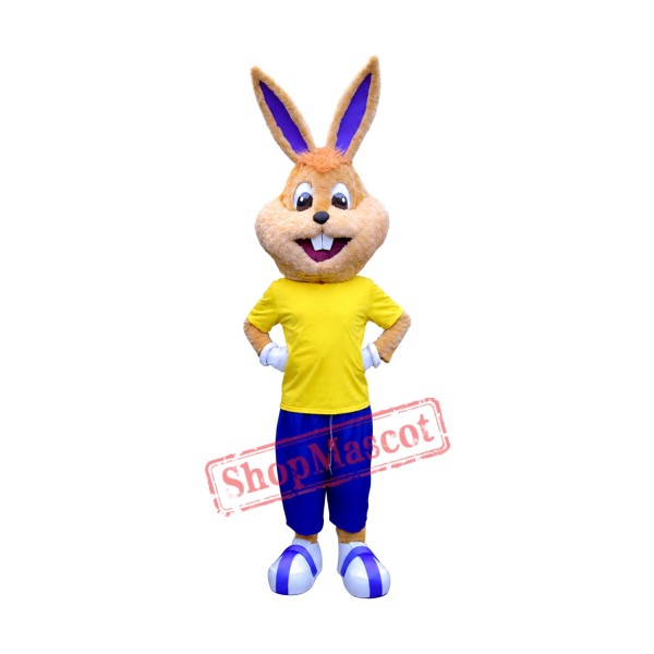 College Happy Bunny Mascot Costume