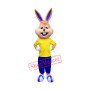 College Happy Bunny Mascot Costume