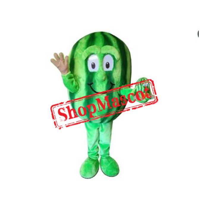 Happy Watermelon Mascot Costume
