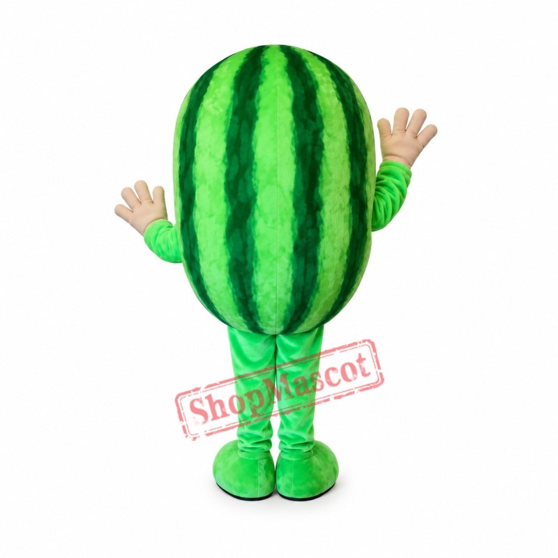 Happy Watermelon Mascot Costume Happy Watermelon Mascot Costume