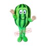 Happy Watermelon Mascot Costume