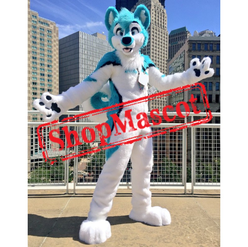 Blue & White Husky Dog Mascot Costume