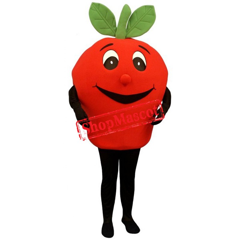Cute Red Apple Mascot Costume