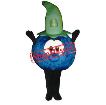 Cute Blueberry Mascot Costume