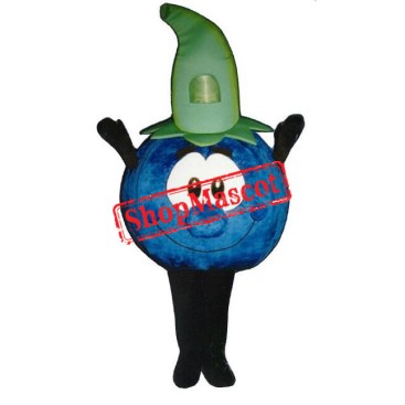 Cute Blueberry Mascot Costume