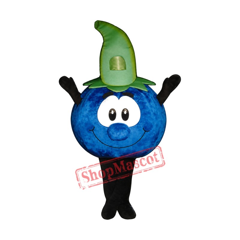 Cute Blueberry Mascot Costume Cute Blueberry Mascot Costume