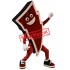 Lightning Bolt Mascot Costume