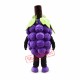 High Quality Grape Mascot Costume High Quality Grape Mascot Costume