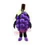 High Quality Grape Mascot Costume