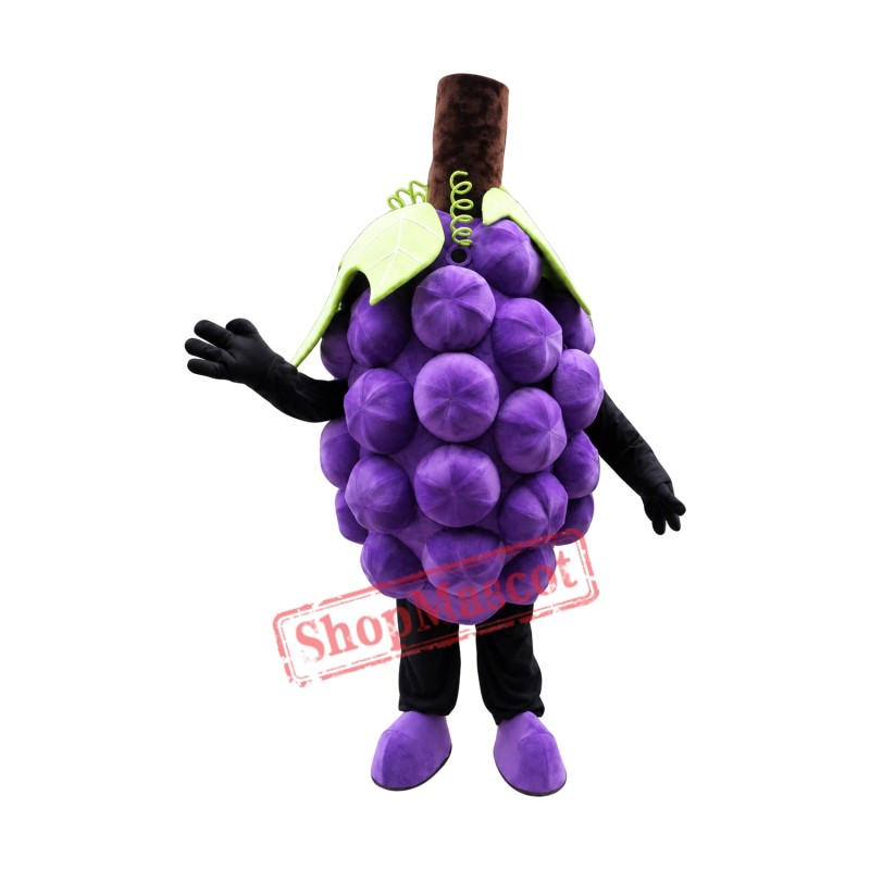 High Quality Grape Mascot Costume High Quality Grape Mascot Costume