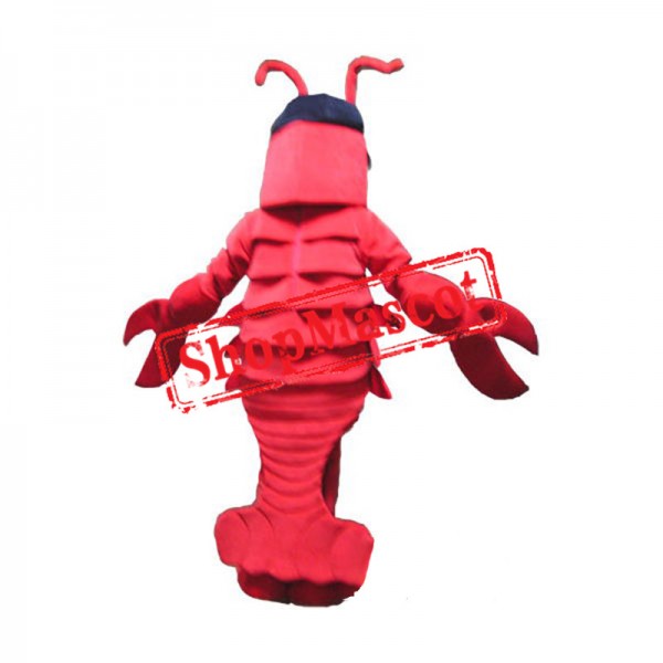 Sport Red Lobster Mascot Costume