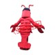 Sport Red Lobster Mascot Costume