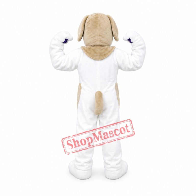 Lovely St. Bernard Dog Mascot Costume