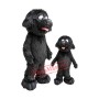 Lovely Black Dog Mascot Costume