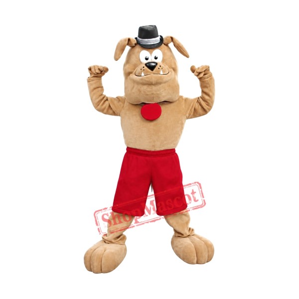 Cute Brown Bulldog Mascot Costume