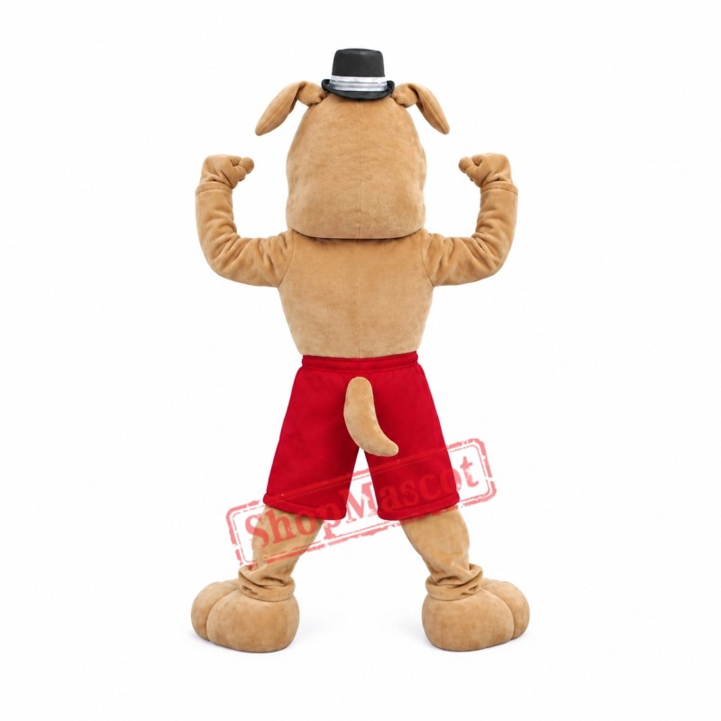 Cute Brown Bulldog Mascot Costume Cute Brown Bulldog Mascot Costume