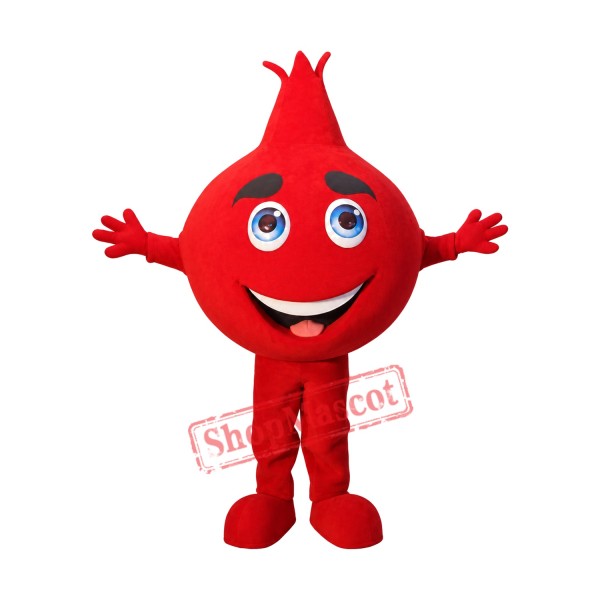 Pomegranate Mascot Costume