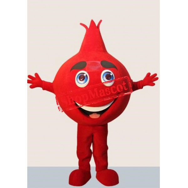 Pomegranate Mascot Costume