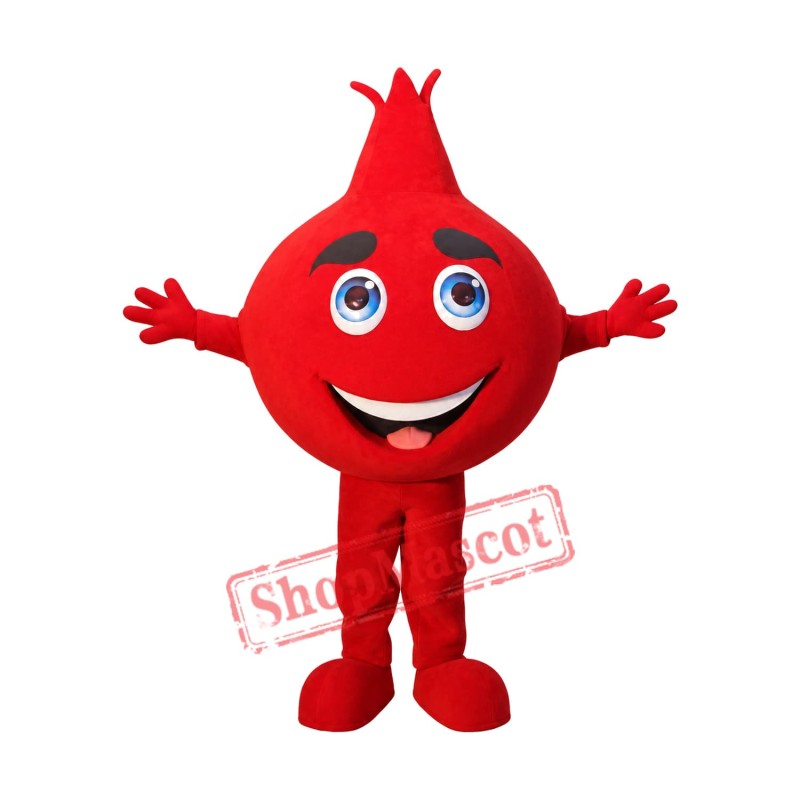 Pomegranate Mascot Costume Pomegranate Mascot Costume