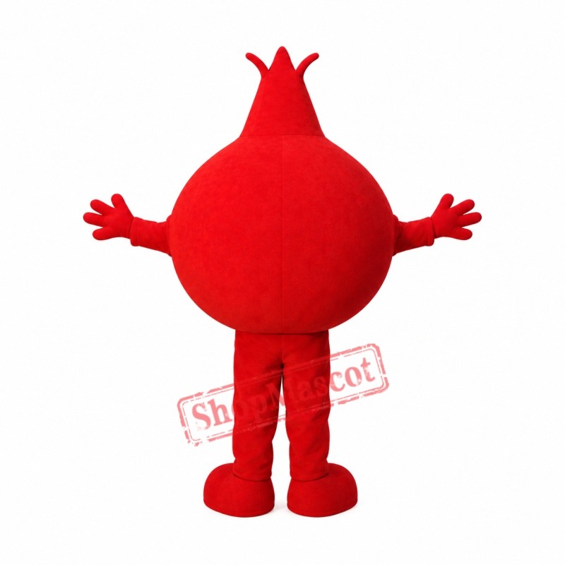 Pomegranate Mascot Costume Pomegranate Mascot Costume