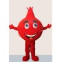 Pomegranate Mascot Costume