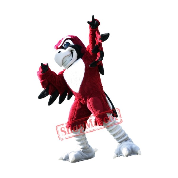 Sport Red Eagle Mascot Costume