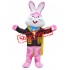 Animal Pink Rabbit Mascot Costume