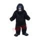 Chimpanzee Mascot Costume Chimpanzee Mascot Costume