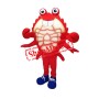Realistic Crab Mascot Costume