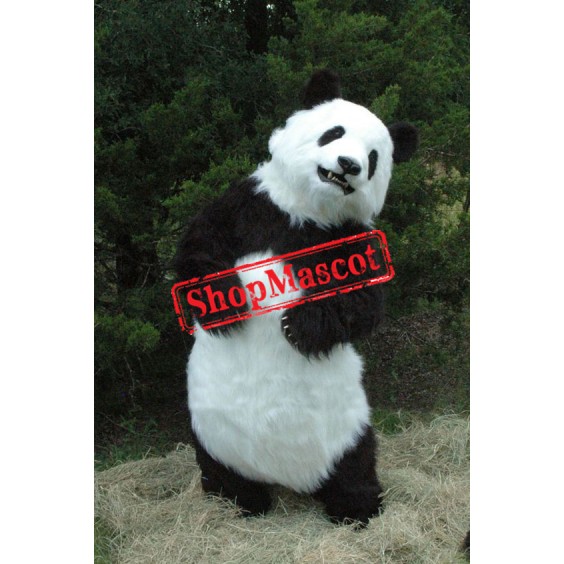 Realistic Wild Panda Mascot Costume