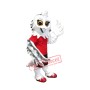 Superb Owl Mascot Costume