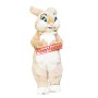Superb Miss Bunny Mascot Costume
