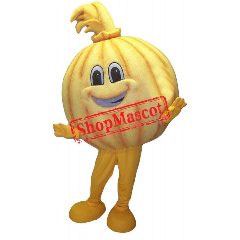 Cute Orange Mascot Costume