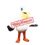 Superb Pelican Mascot Costume