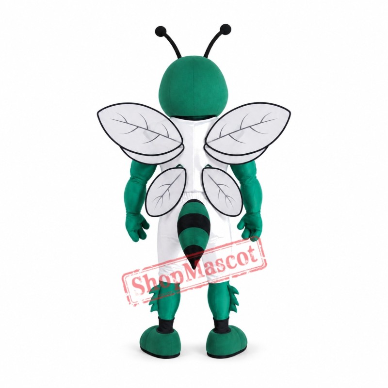 Sport Green Bee Mascot Costume Sport Green Bee Mascot Costume