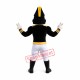 Commodore Mascot Costume
