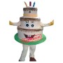 Professional Birthday Cake Mascot Costume
