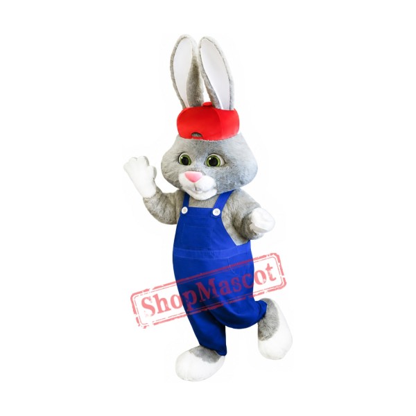 Lovely Long-eared Rabbit Mascot Costume Lovely Long-eared Rabbit Mascot Costume