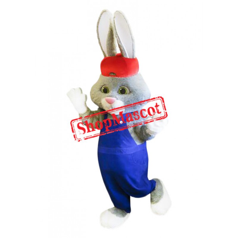 Lovely Long-eared Rabbit Mascot Costume