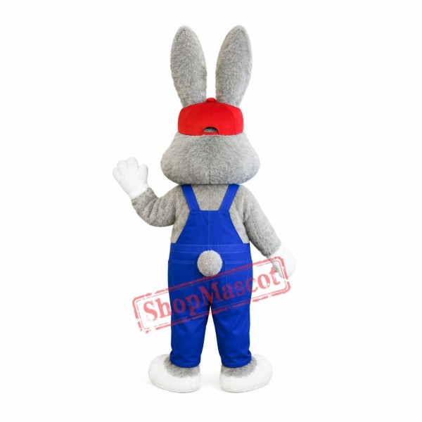 Lovely Long-eared Rabbit Mascot Costume Lovely Long-eared Rabbit Mascot Costume
