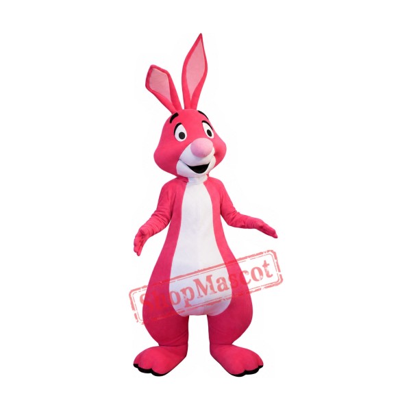 Superb Pink Rabbit Mascot Costume