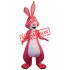 Superb Pink Rabbit Mascot Costume