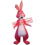 Superb Pink Rabbit Mascot Costume