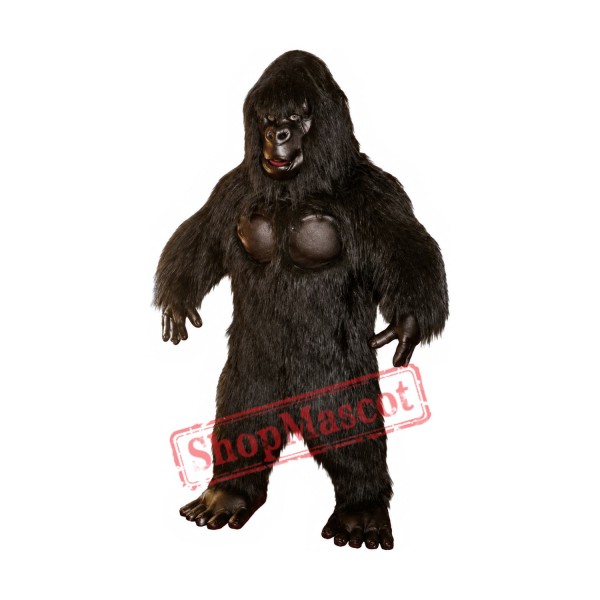 Superb Chimpanzee Mascot Costume Superb Chimpanzee Mascot Costume