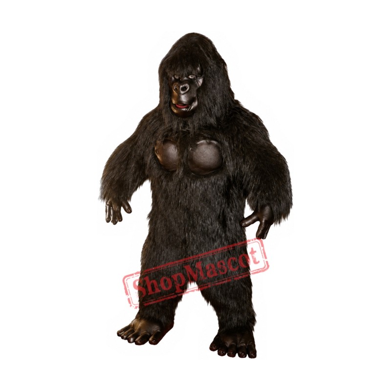 Superb Chimpanzee Mascot Costume Superb Chimpanzee Mascot Costume