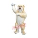 Realistic Wild Bulldog Mascot Costume Realistic Wild Bulldog Mascot Costume