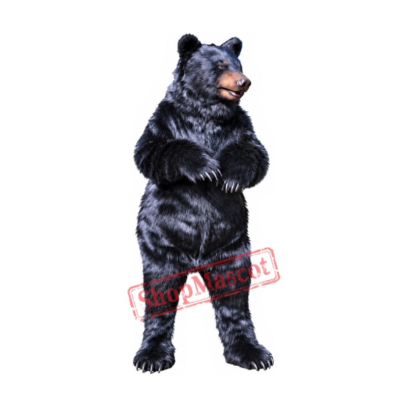 Realistic Wild Black Bear Mascot Costume Realistic Wild Black Bear Mascot Costume