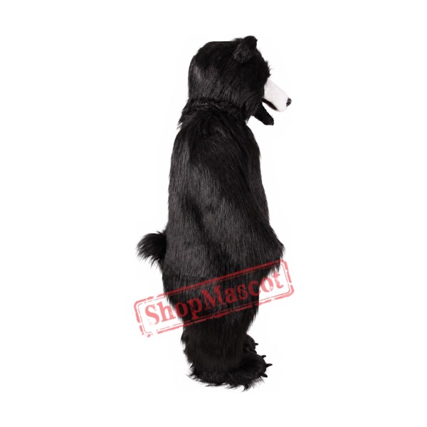 Realistic Lightweight Black Bear Mascot Costume Realistic Lightweight Black Bear Mascot Costume
